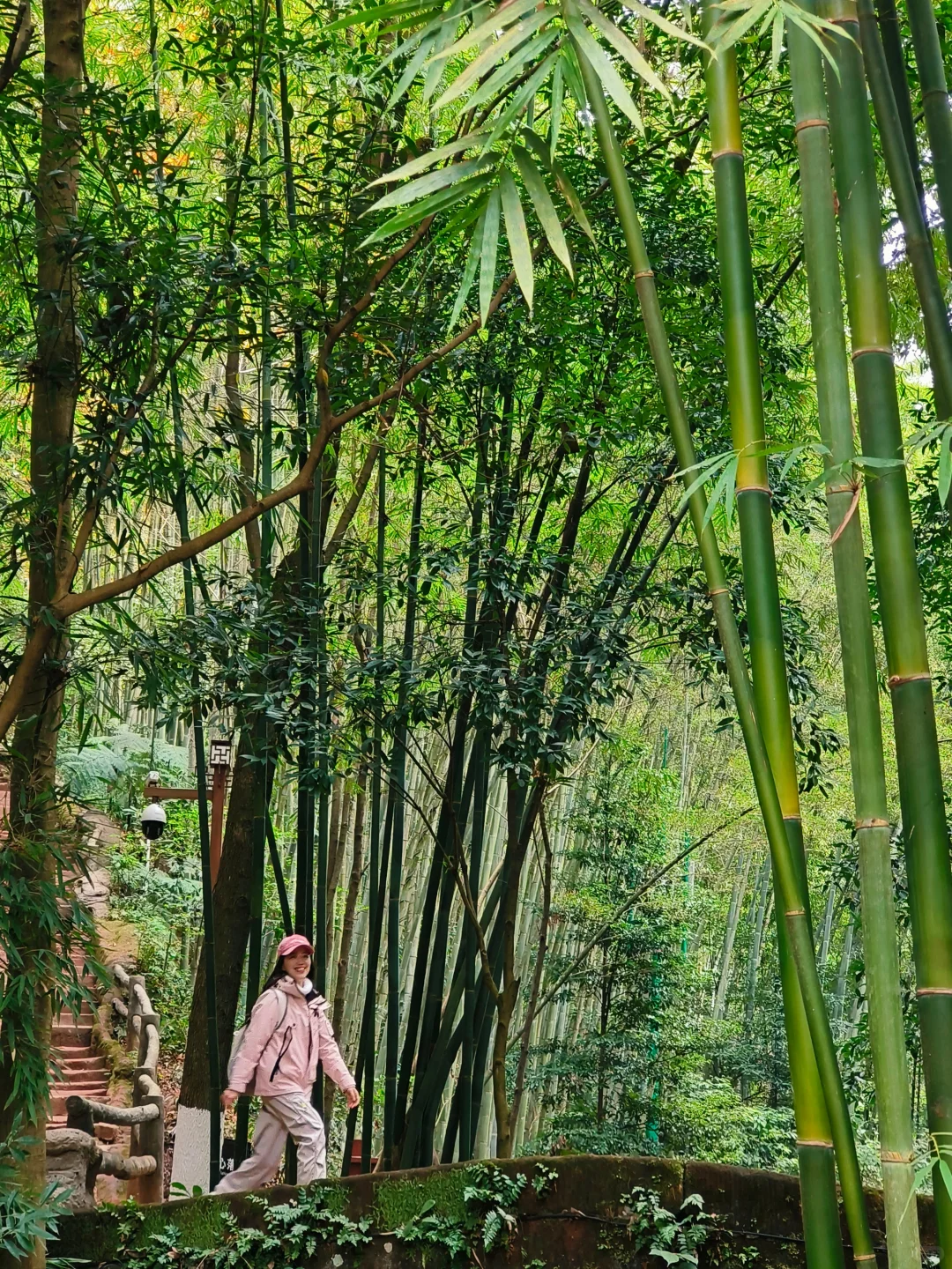 成都大巴💰14.9直达，青神1日游攻略