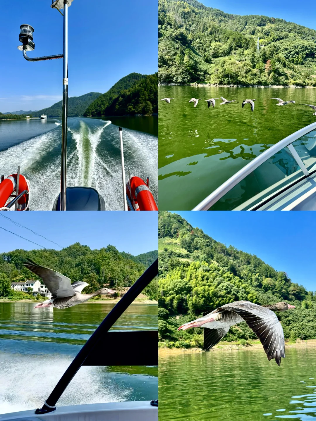 本以为宏村已经很美了，直到我来了这里…