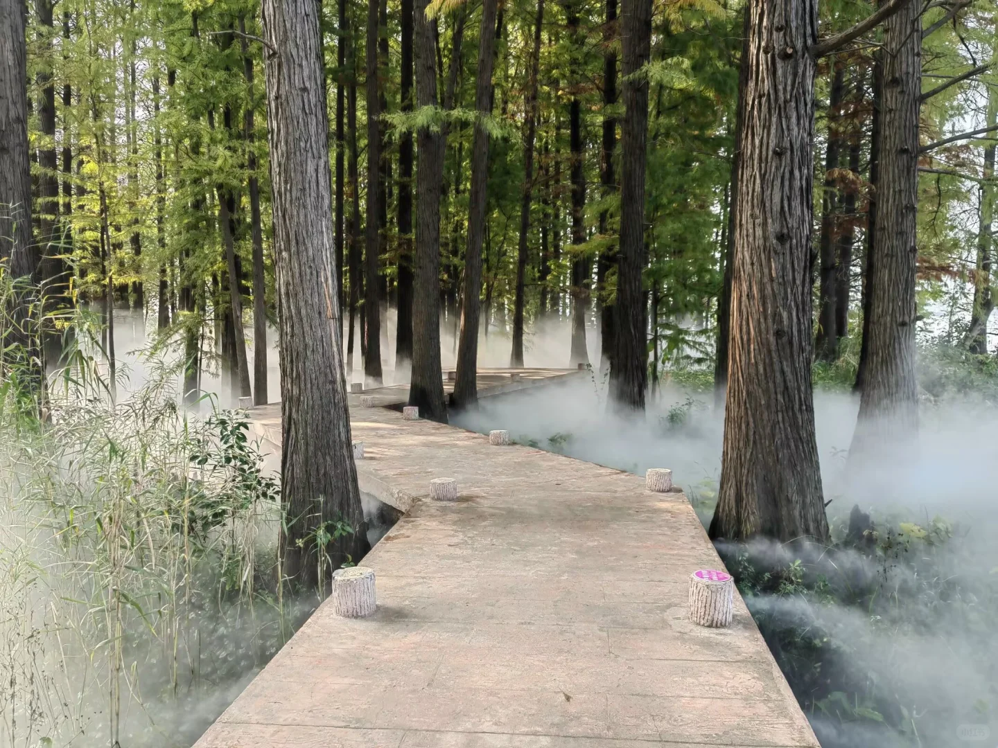 武汉东湖落雁景区旅游攻略