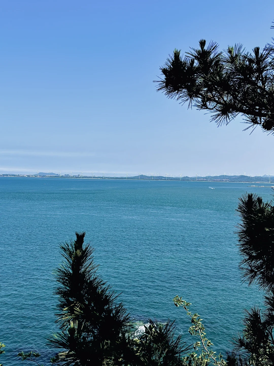 一些威海の𝙡𝙞𝙫𝙚库存🌊