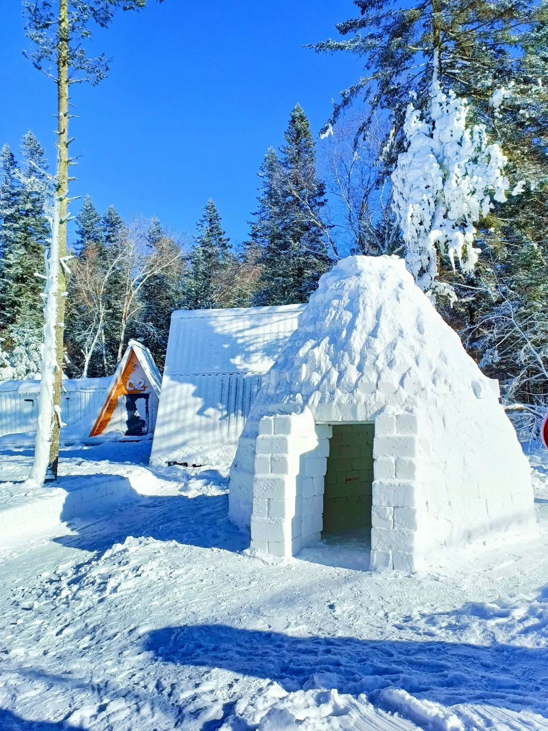 童话木屋|我找到了长白山免费小众景区！