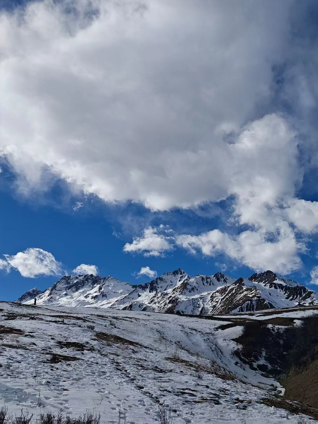 米亚罗猛古雪山📍成都出发一日游徒步💰147