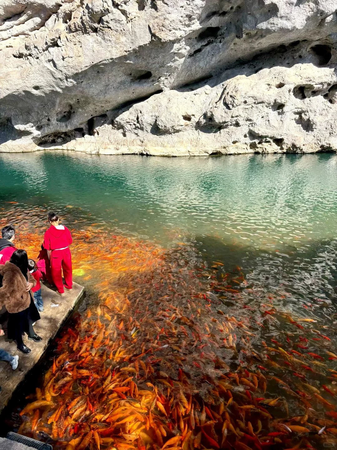12月底楠溪江🌞游玩一日游