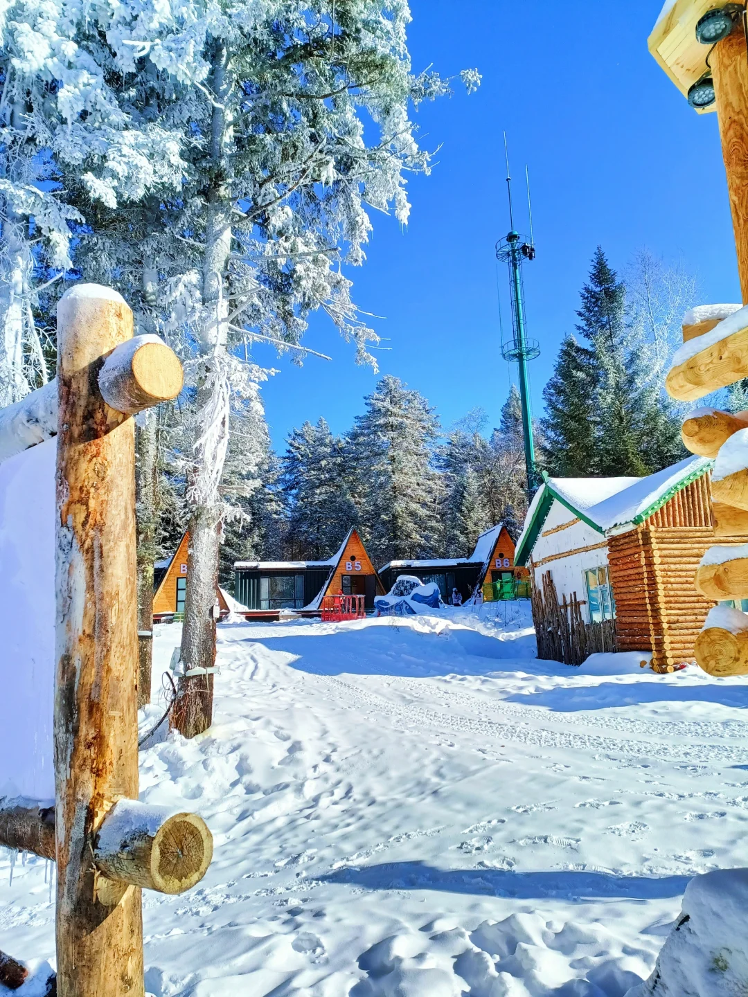 童话木屋|我找到了长白山免费小众景区！