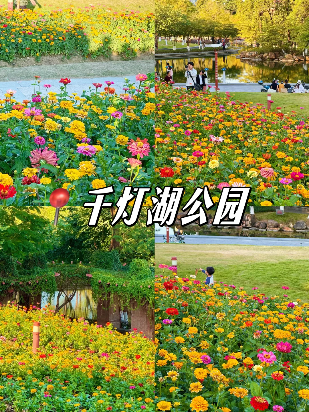 佛山City walk一日游❗️暴走景点不重样✨