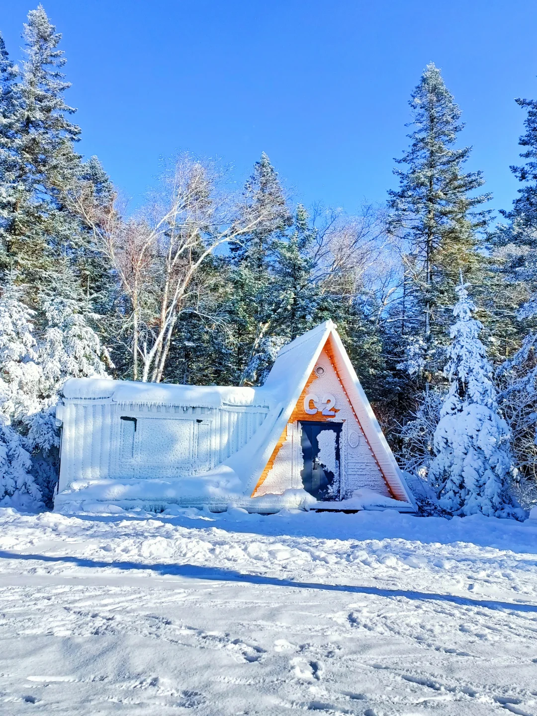 童话木屋|我找到了长白山免费小众景区！