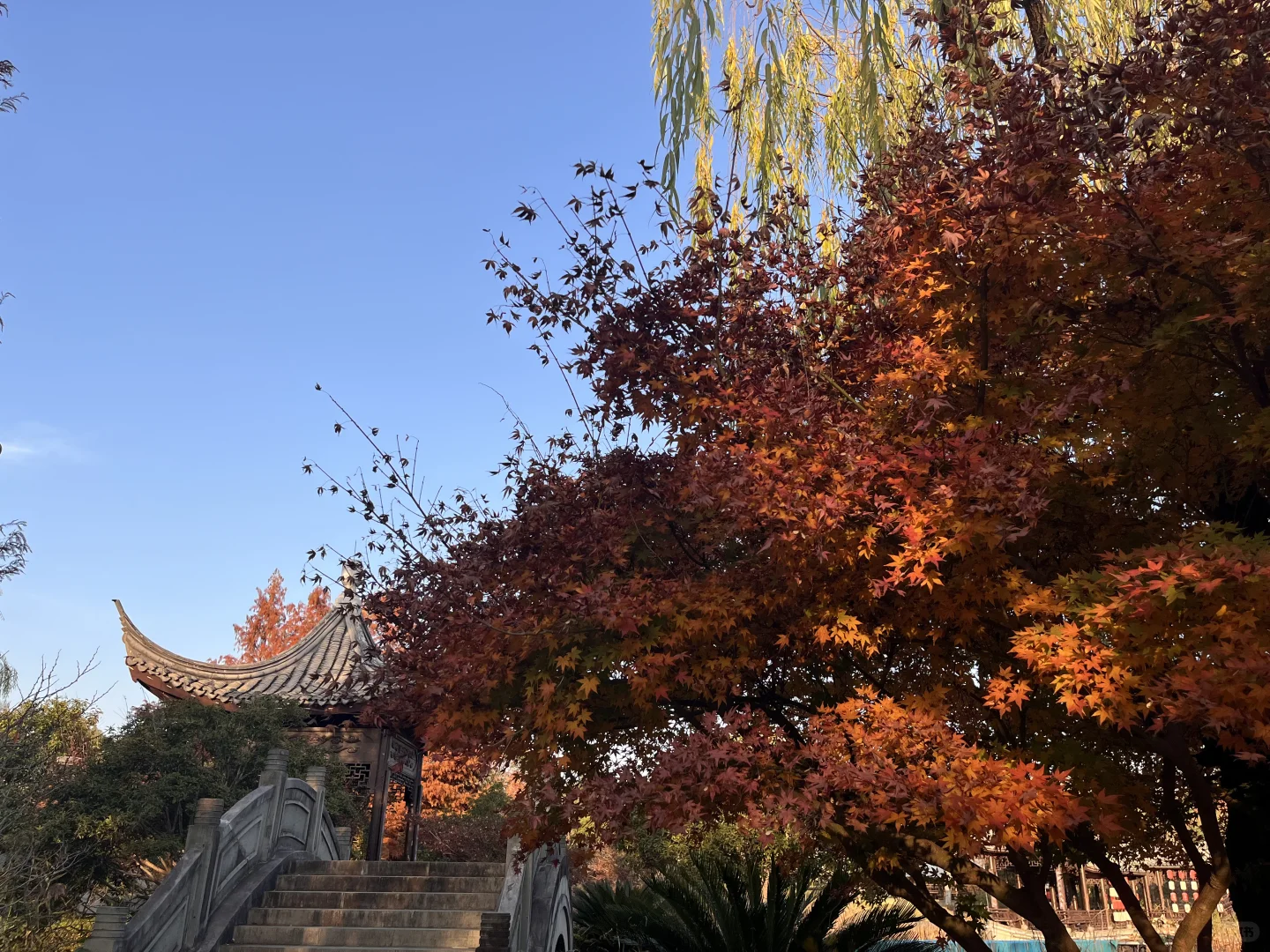 灵湖，我愿在这度过春夏秋冬🍁