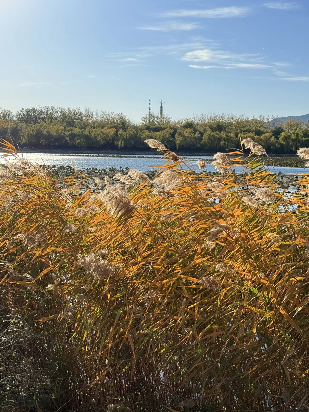 颐和园的秋🍂