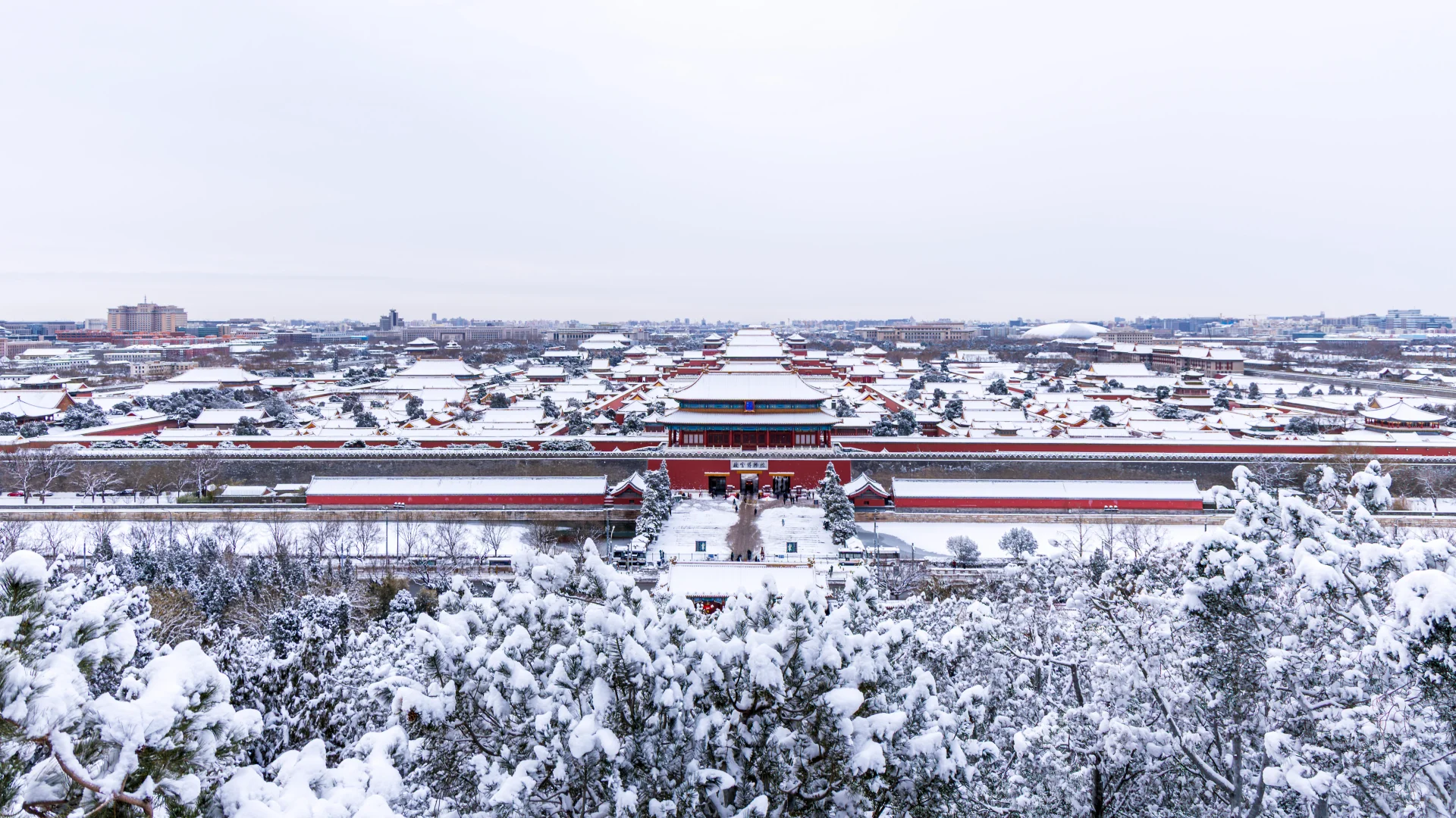 大雪后~约不上故宫的都给我去景山！