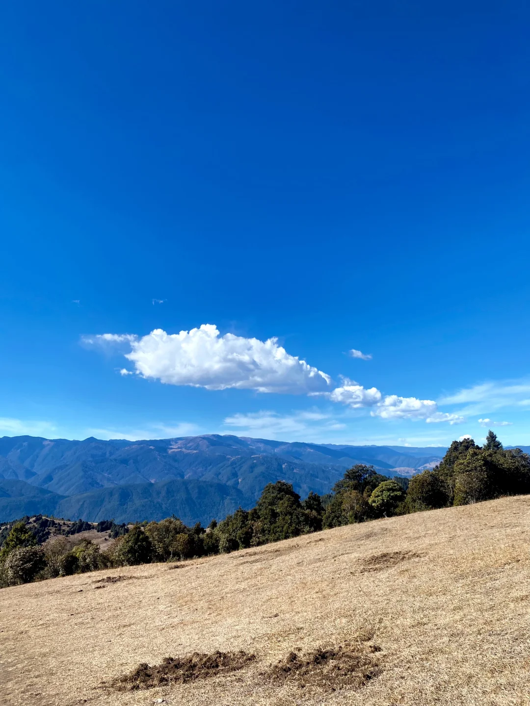 老药山！一起摆烂的一天、哈哈