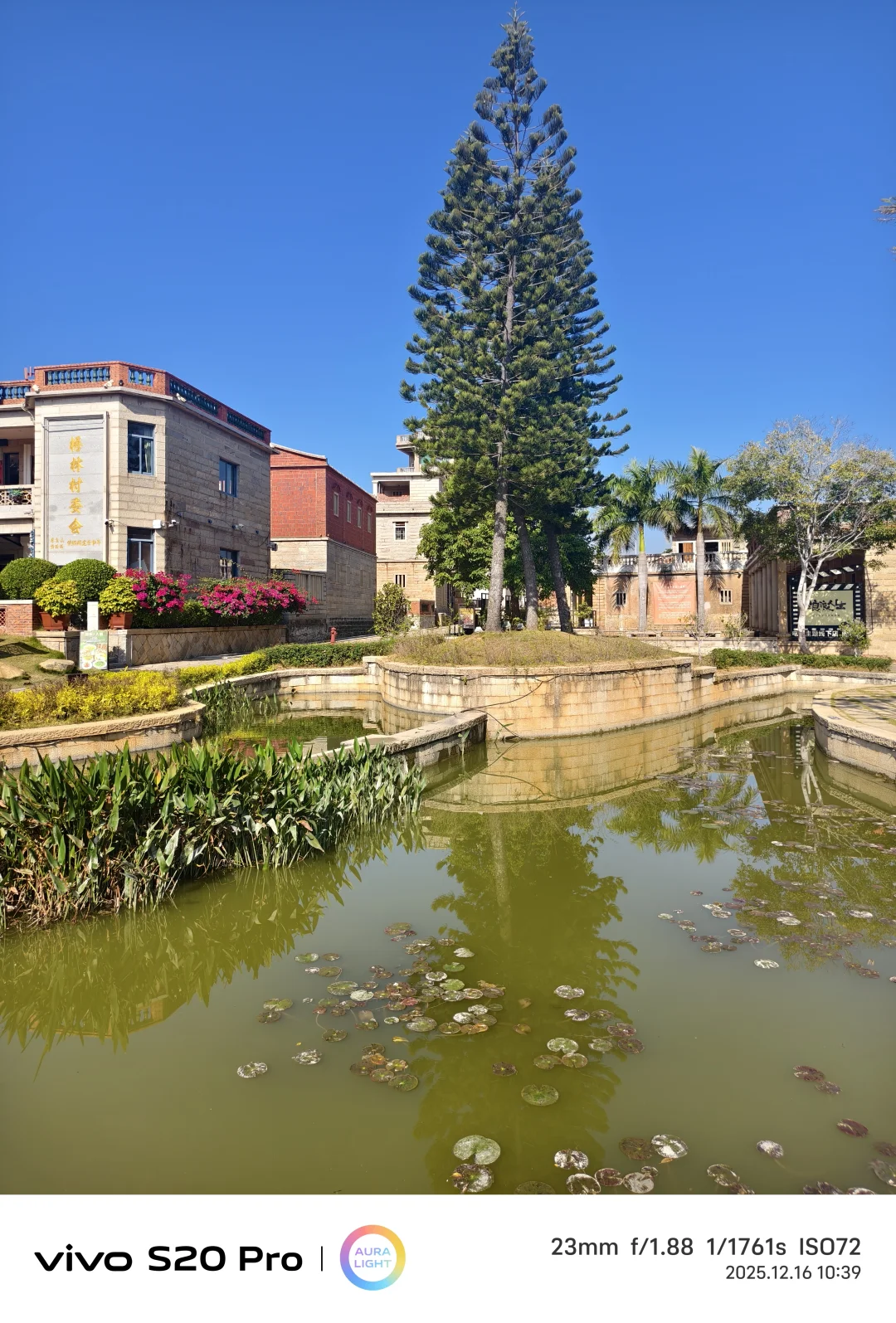 2025年12月16日-泉州晋江梧林传统村落