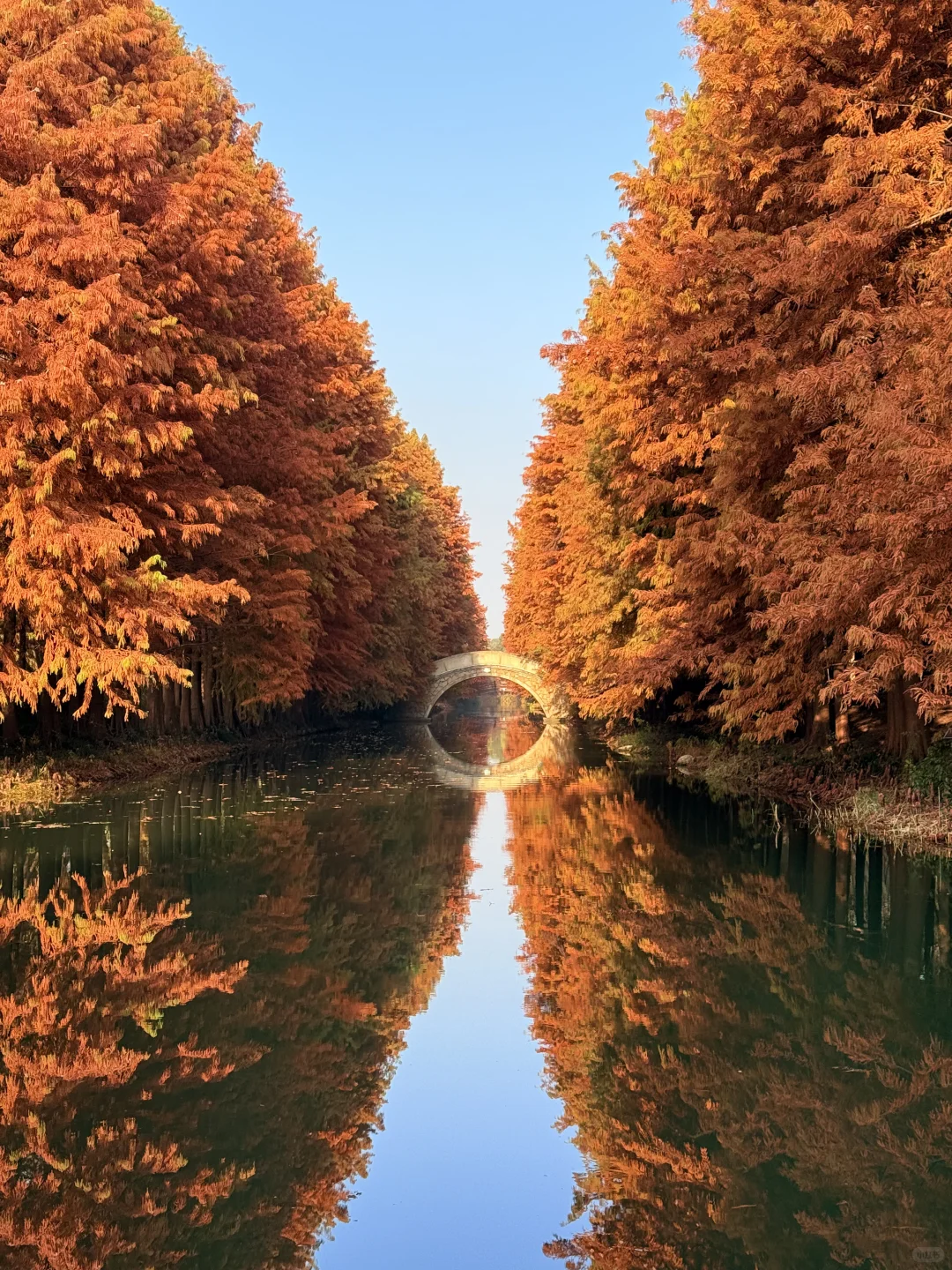 这么美的景点竟然不收费（附地图攻略）