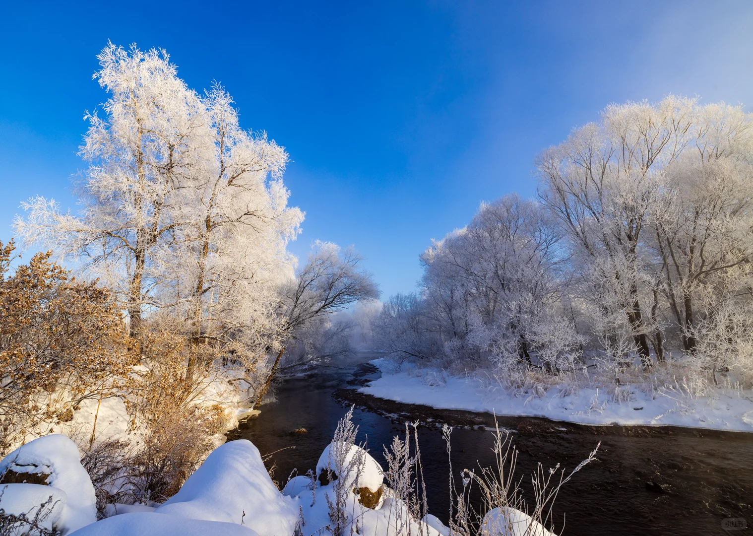 零下30℃的冰雪雾凇童话世界