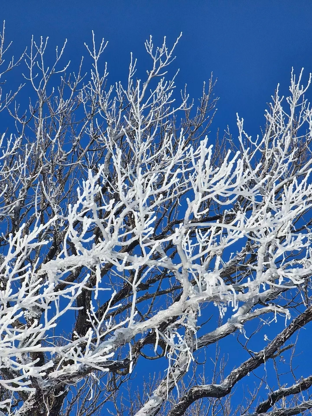 12.14📍累惨😭去莽山真心不建议去西门