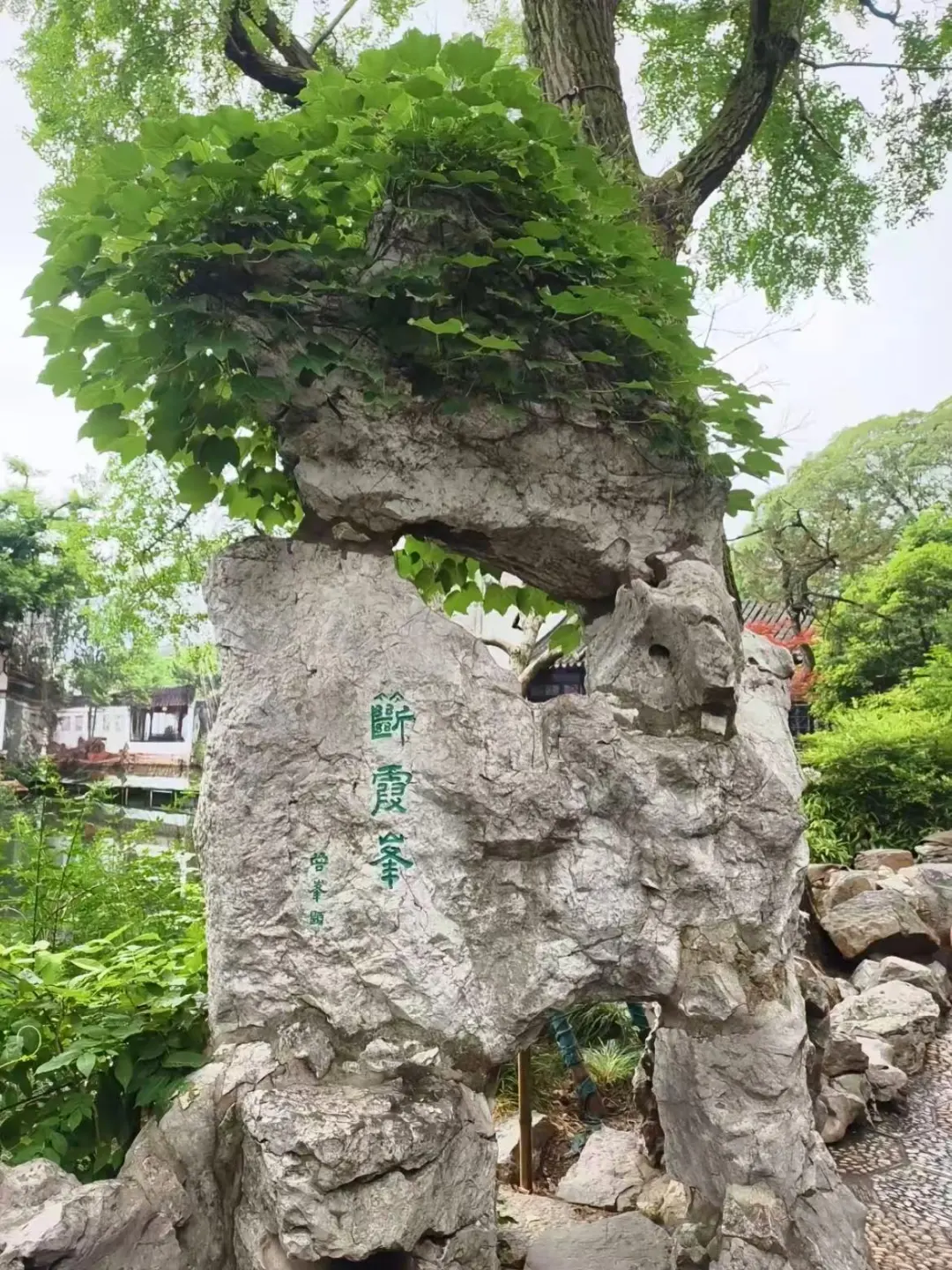 🙌来苏州必打卡景点|苏州园林秋色💕