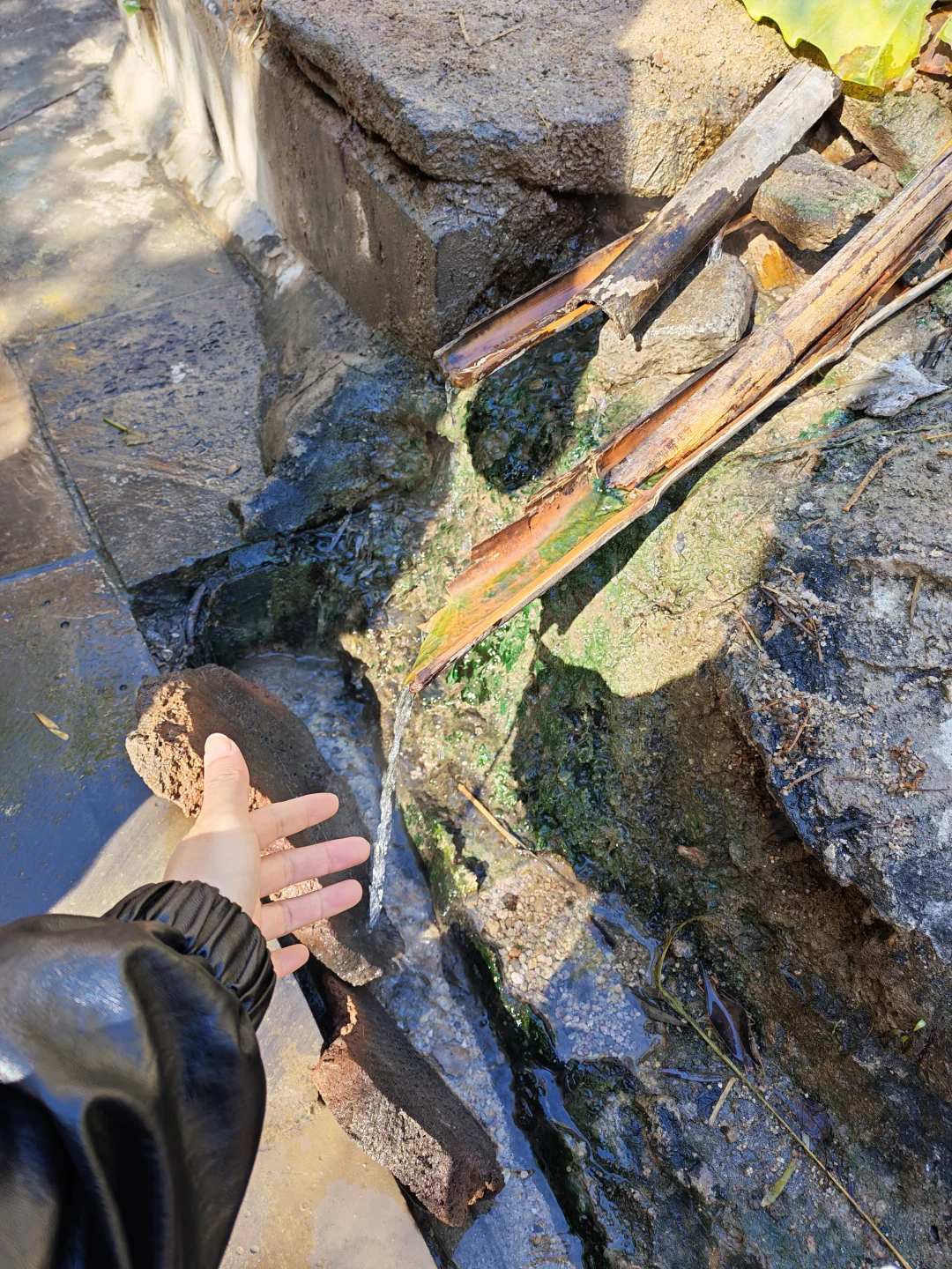 腾冲芒市瑞丽到此一游