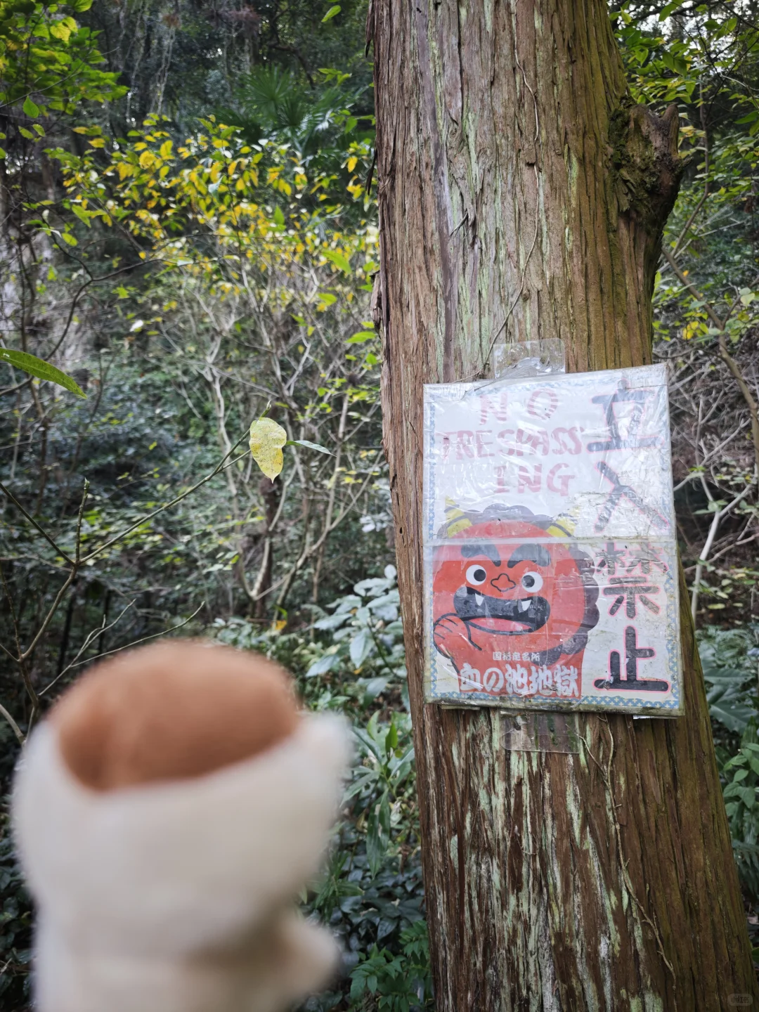 【别府碎片】村里超市物价，房租，景点小记