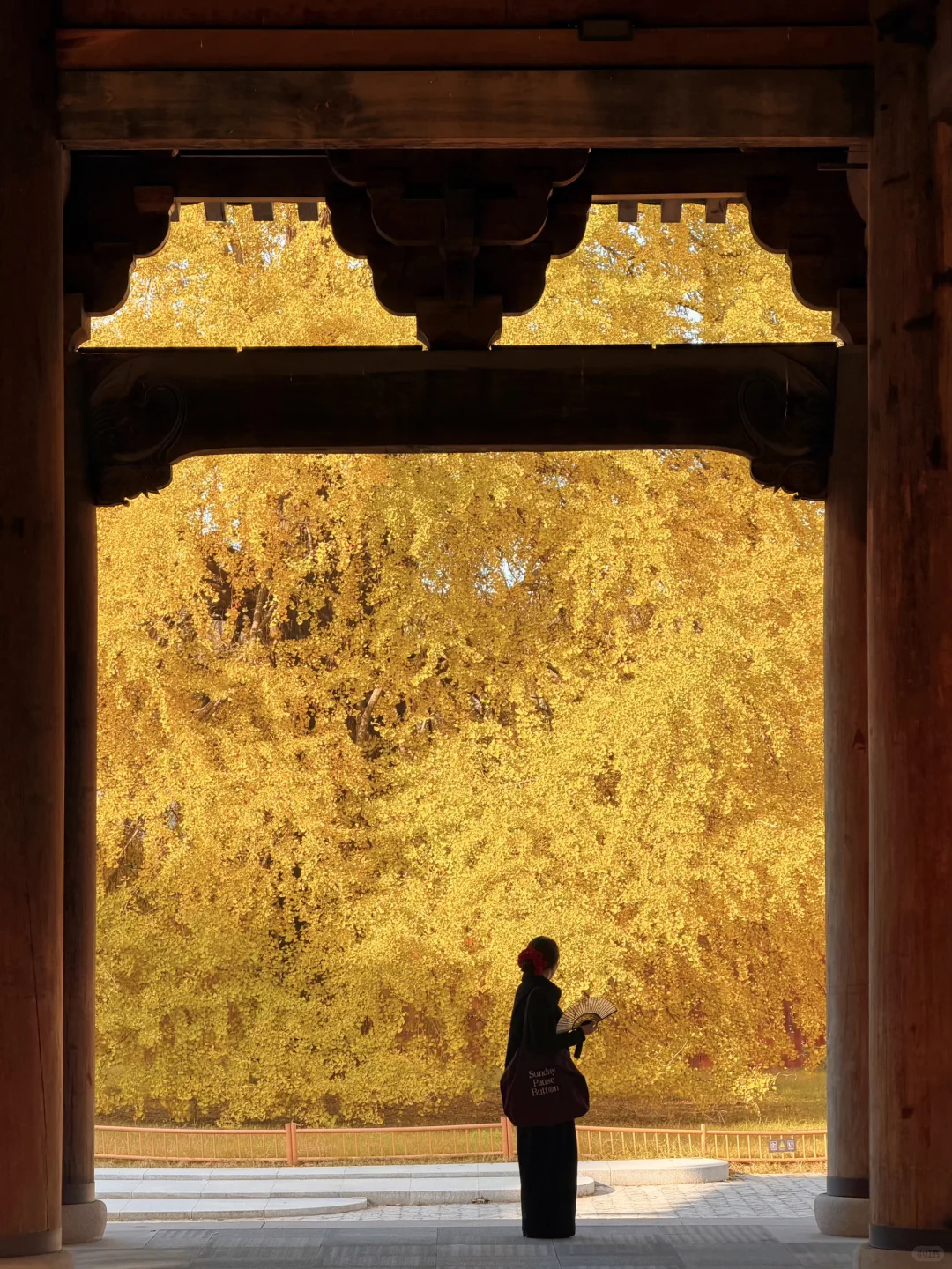 我很少用震撼来形容一个地方！！！！！！！！！！！！