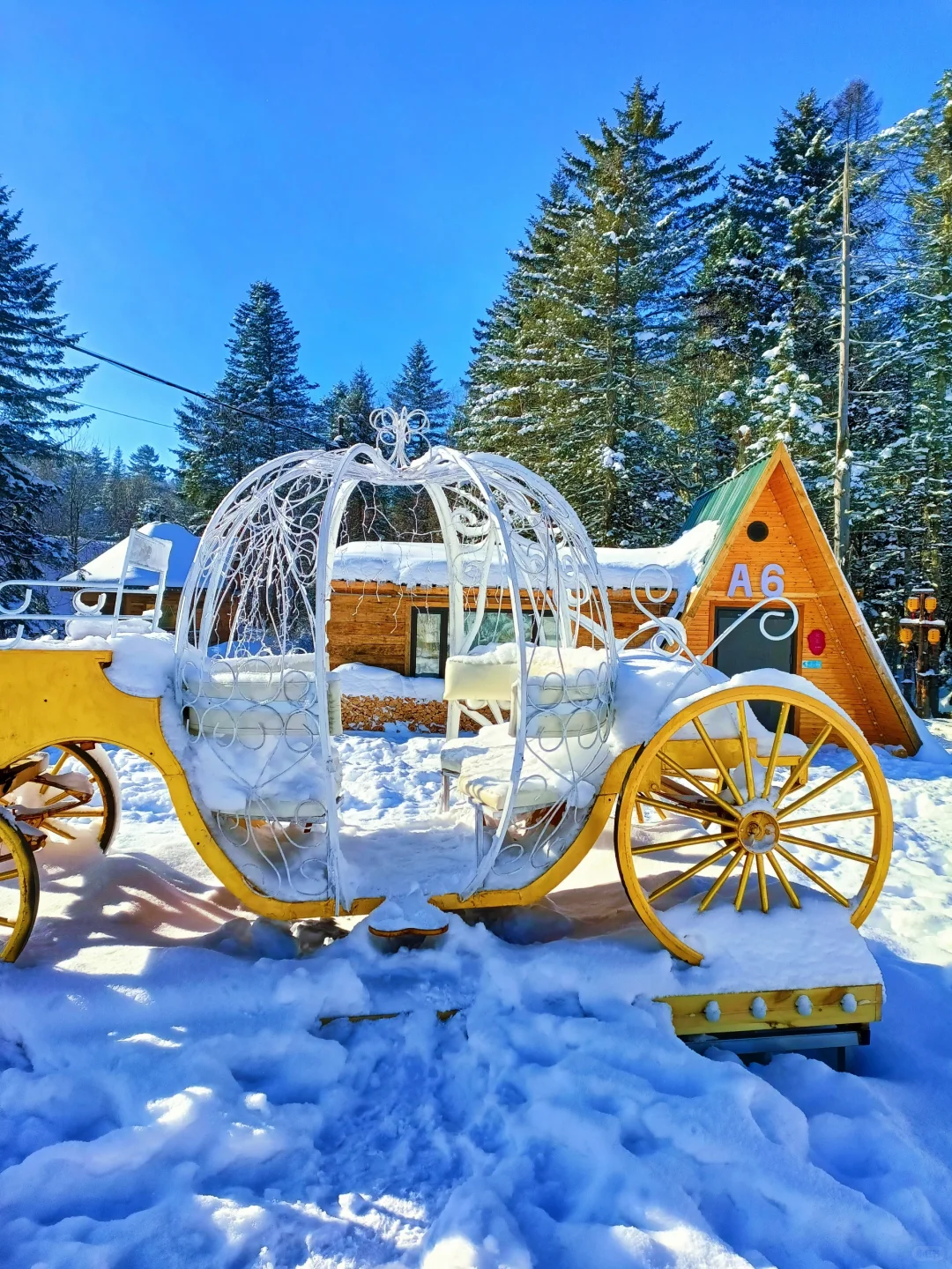 童话木屋|我找到了长白山免费小众景区！