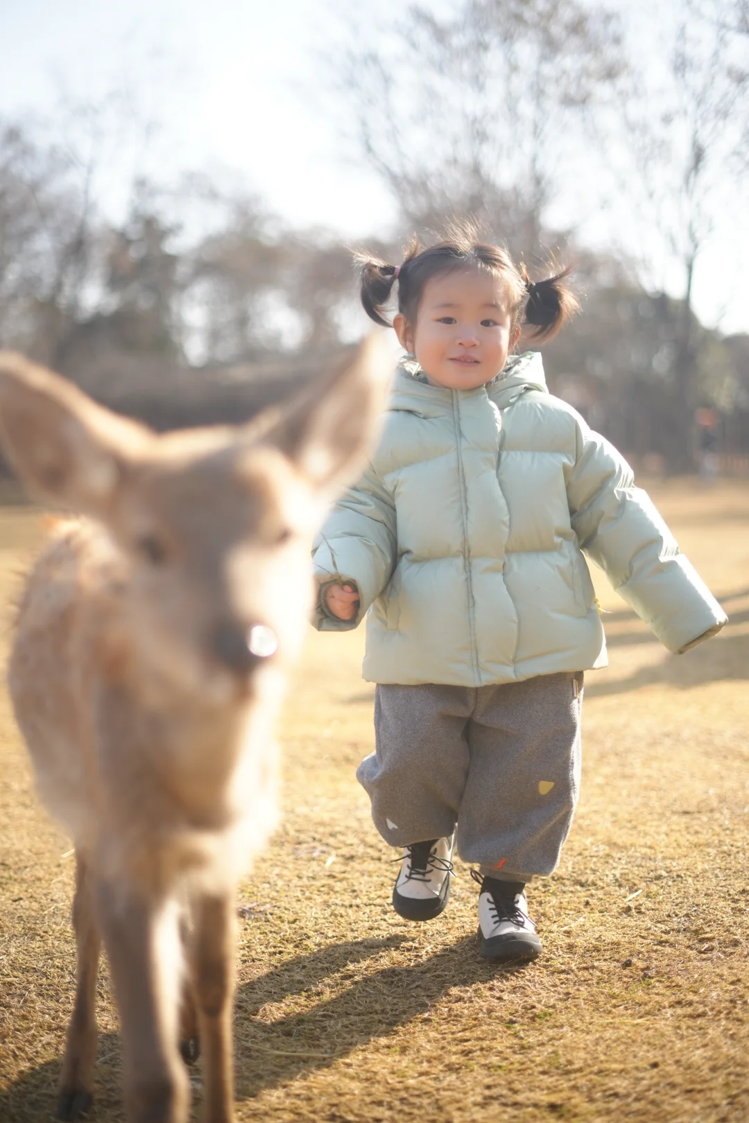 看小鹿一定要去奈良？才不是！