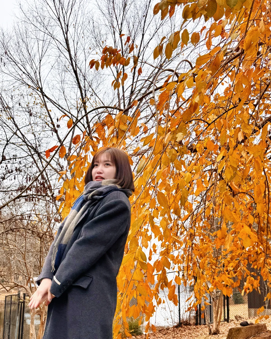 德州Little Rock網美景點⛰️Old mill