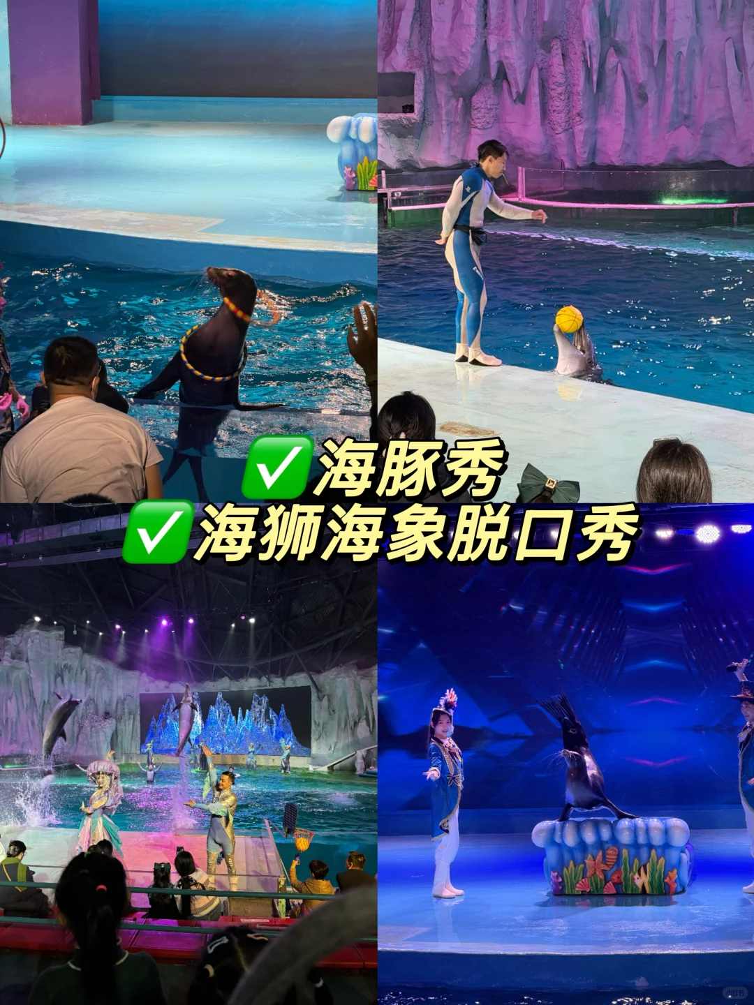 哈尔滨景点推荐！附三日游路线 美食🔥