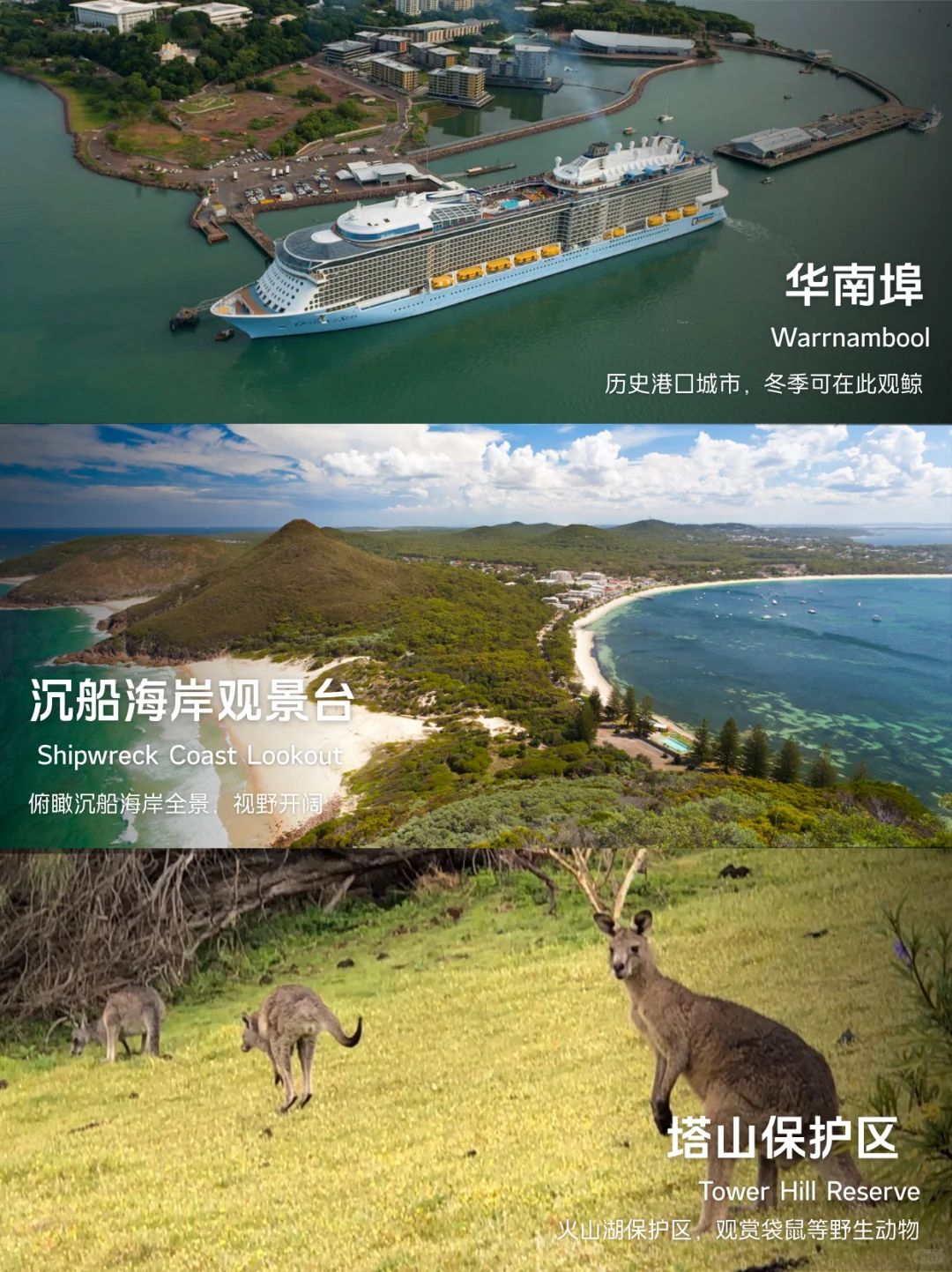 大洋路景点排名榜🌊没去对等于白来墨尔本来