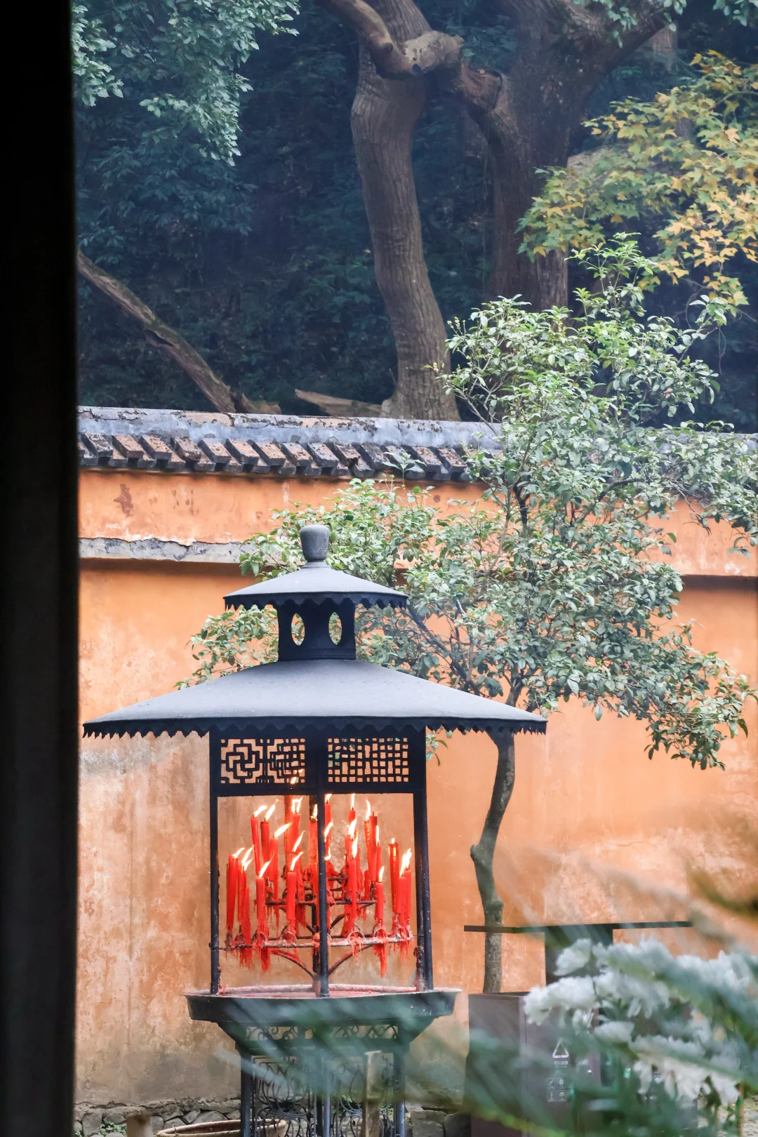 🌾🍂国清寺的秋，是我花0元买到的顶级治愈