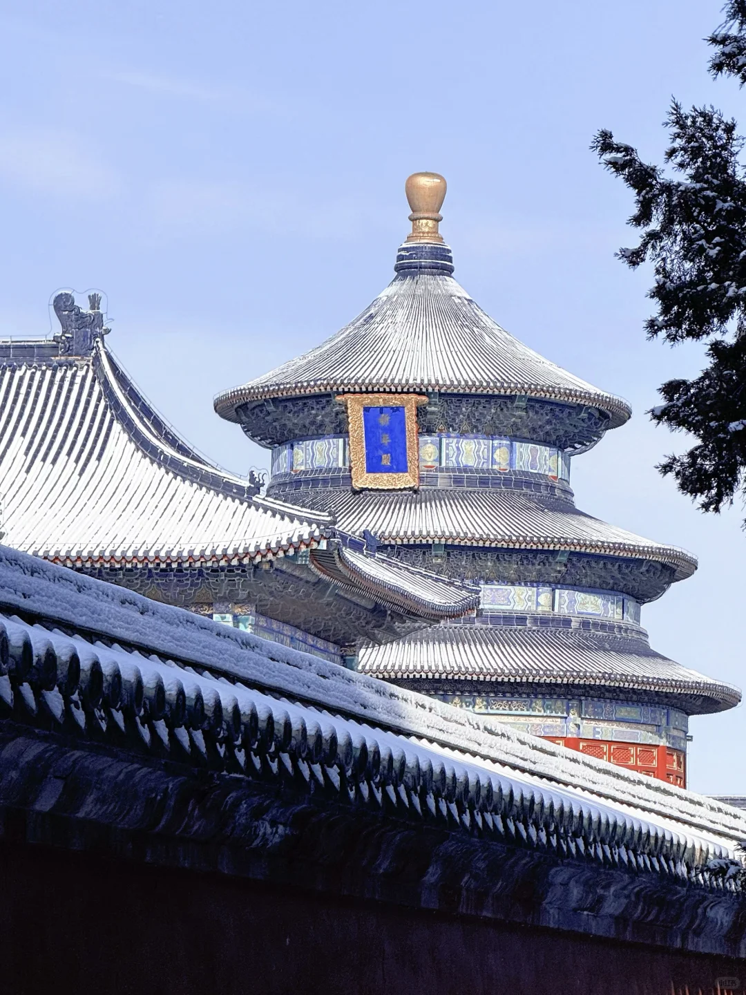 12.13📍北京天坛杀疯了啊啊啊啊啊啊啊啊