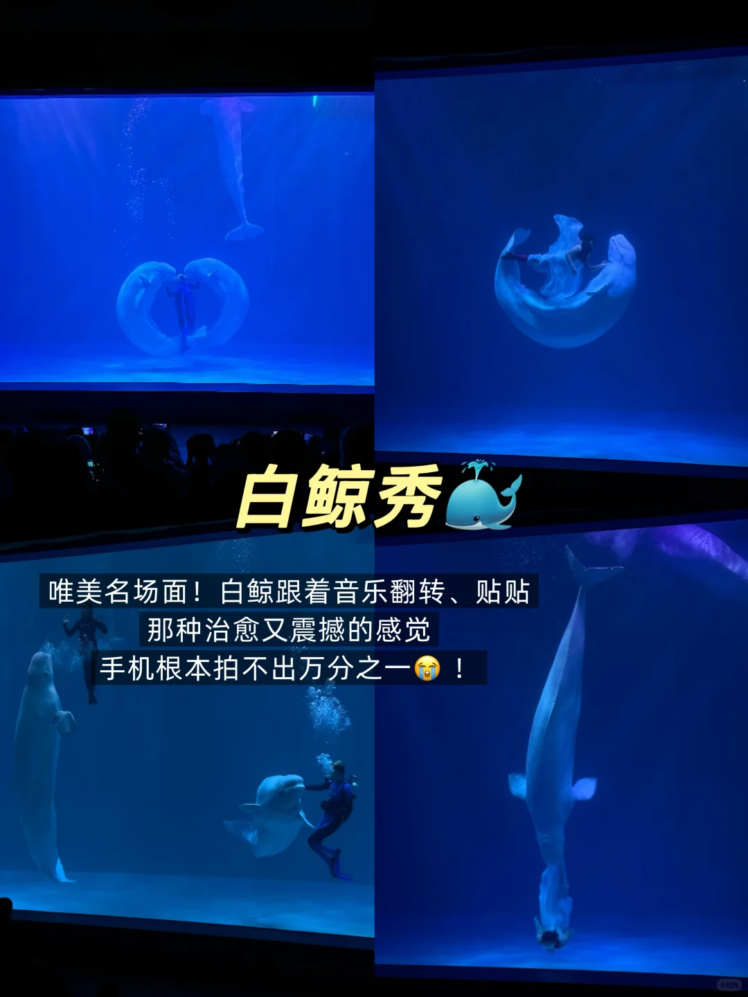 哈尔滨景点推荐！附三日游路线 美食🔥