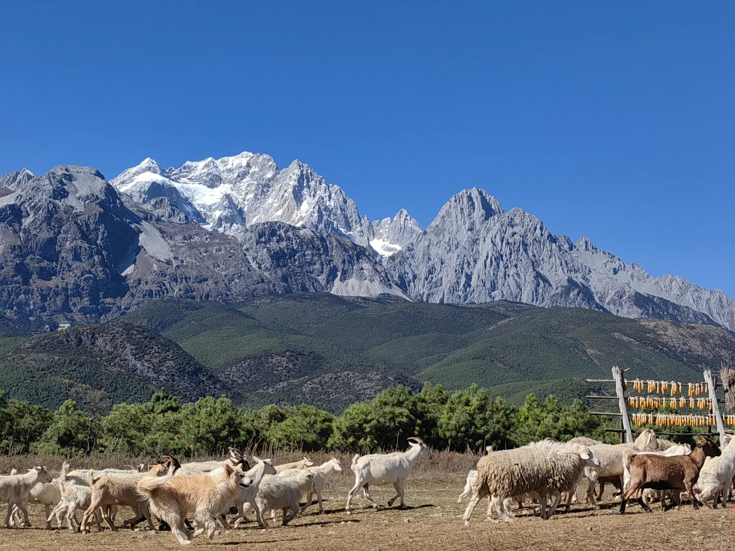 丽江东巴谷「免票小众线」电动车骑行攻略