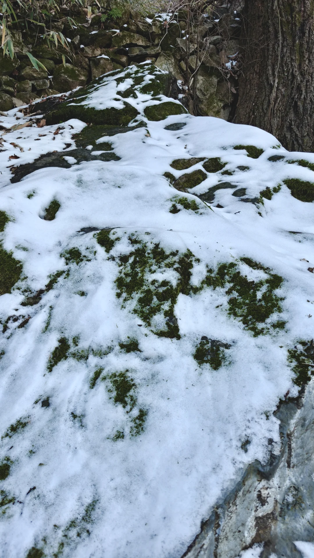 终南山南五台包好看