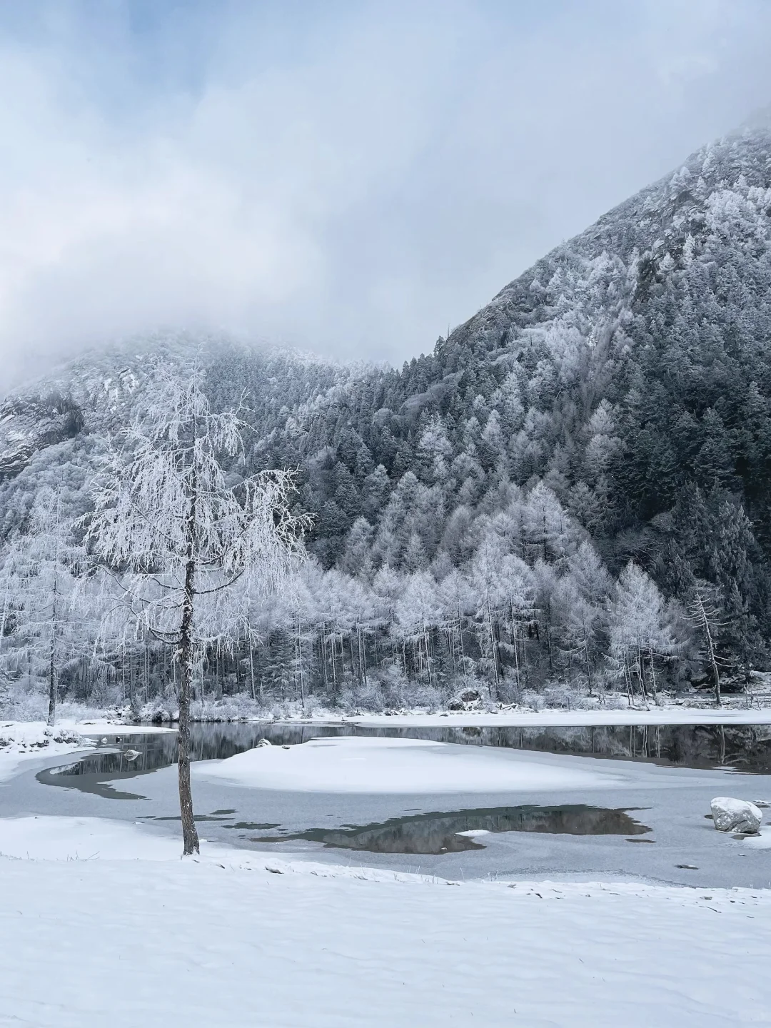 📍 毕棚沟12.2实况｜188一日游成都免费接