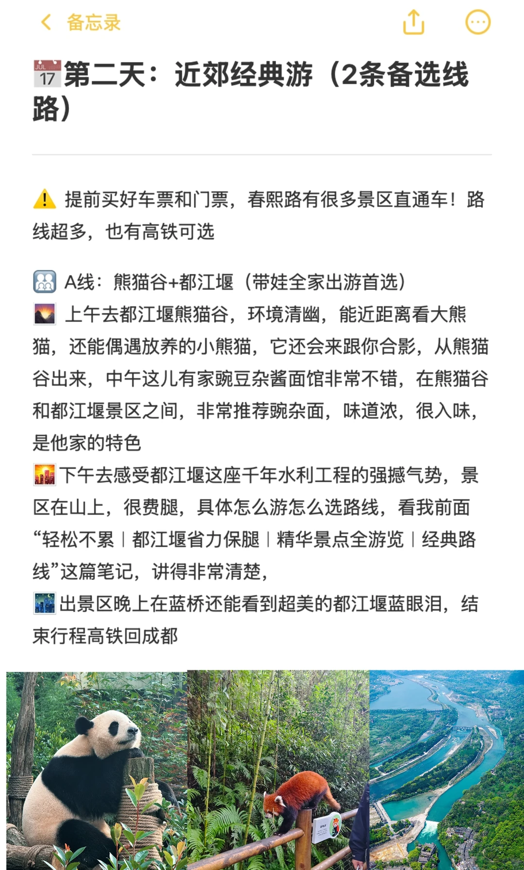我宣布！这是成都元旦旅游最舒服巴适的攻略