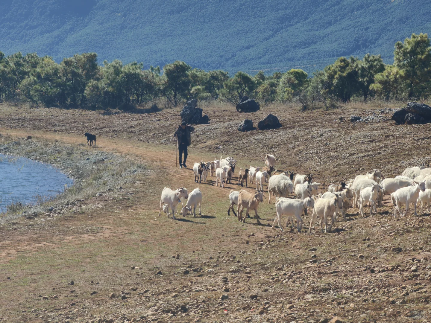 丽江东巴谷「免票小众线」电动车骑行攻略