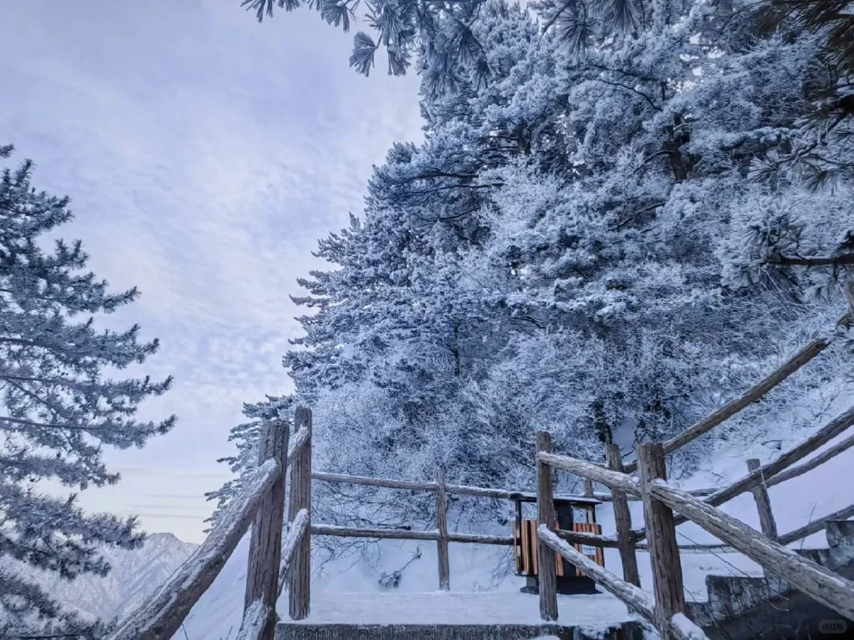 华山雪景限定回归❗️西峰索道重开！