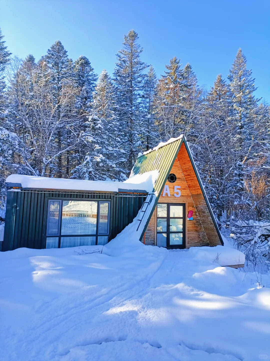 童话木屋|我找到了长白山免费小众景区！