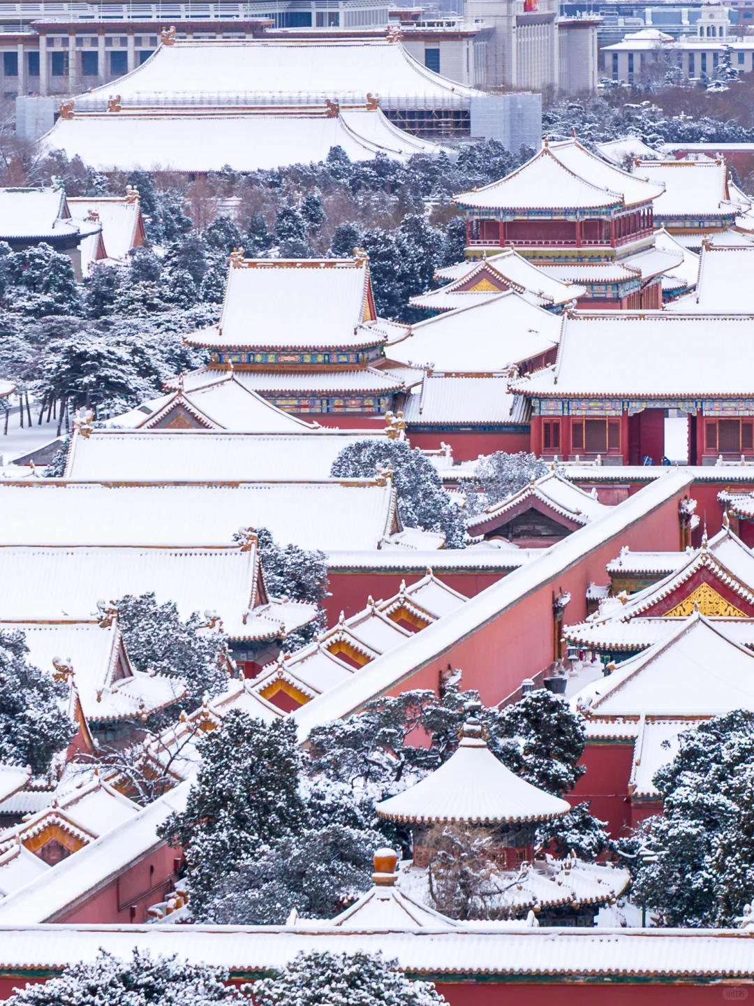 大雪后~约不上故宫的都给我去景山！