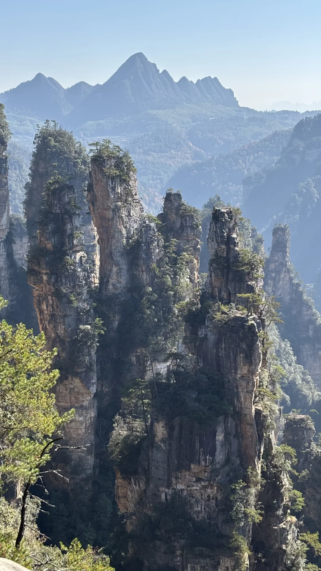 张家界国家森林公园里的小众景点 空中田园