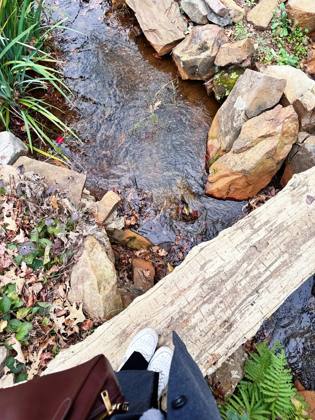 德州Little Rock網美景點⛰️Old mill