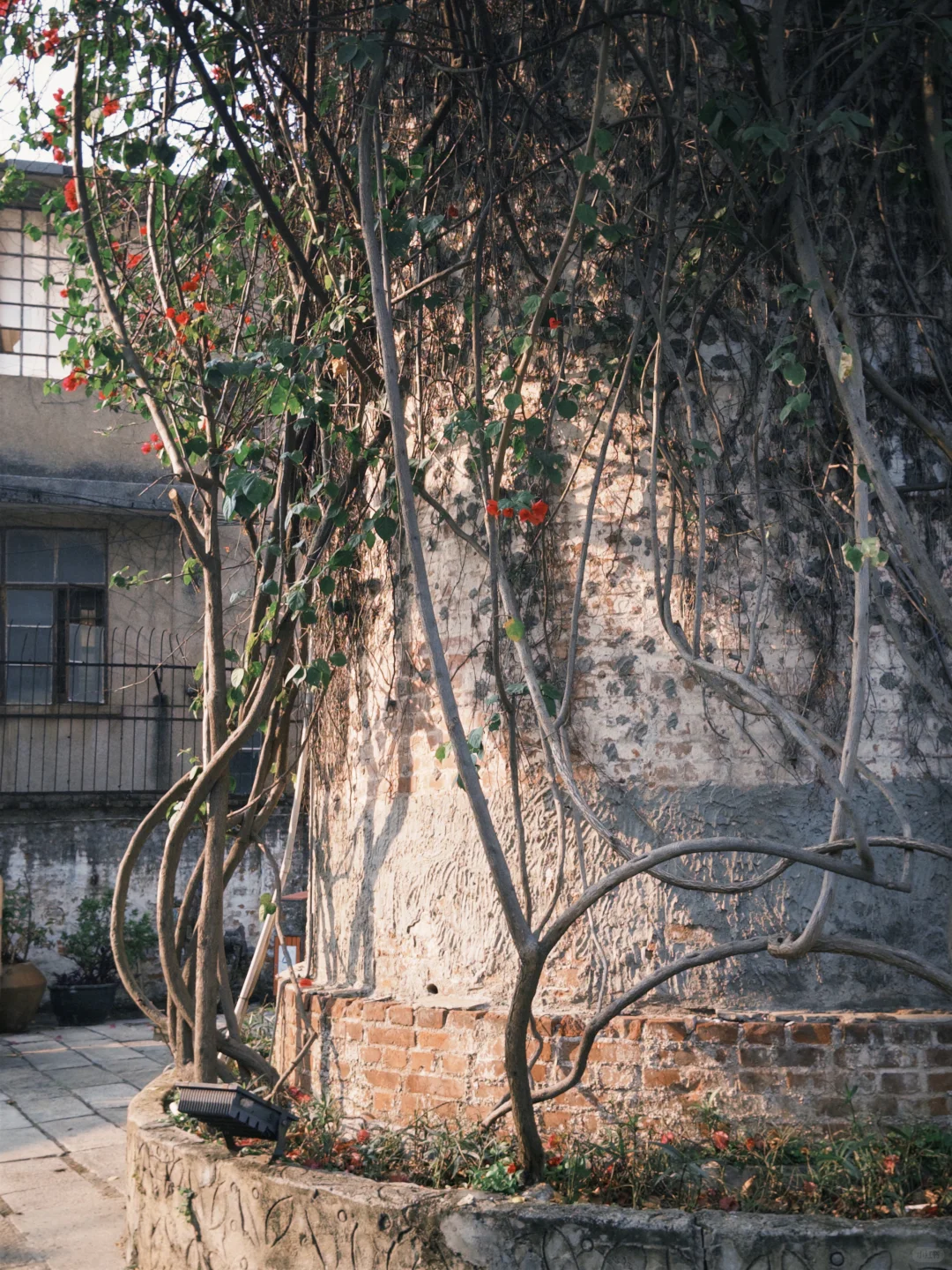 谁懂啊！佛山一日游连景区门都没找着!
