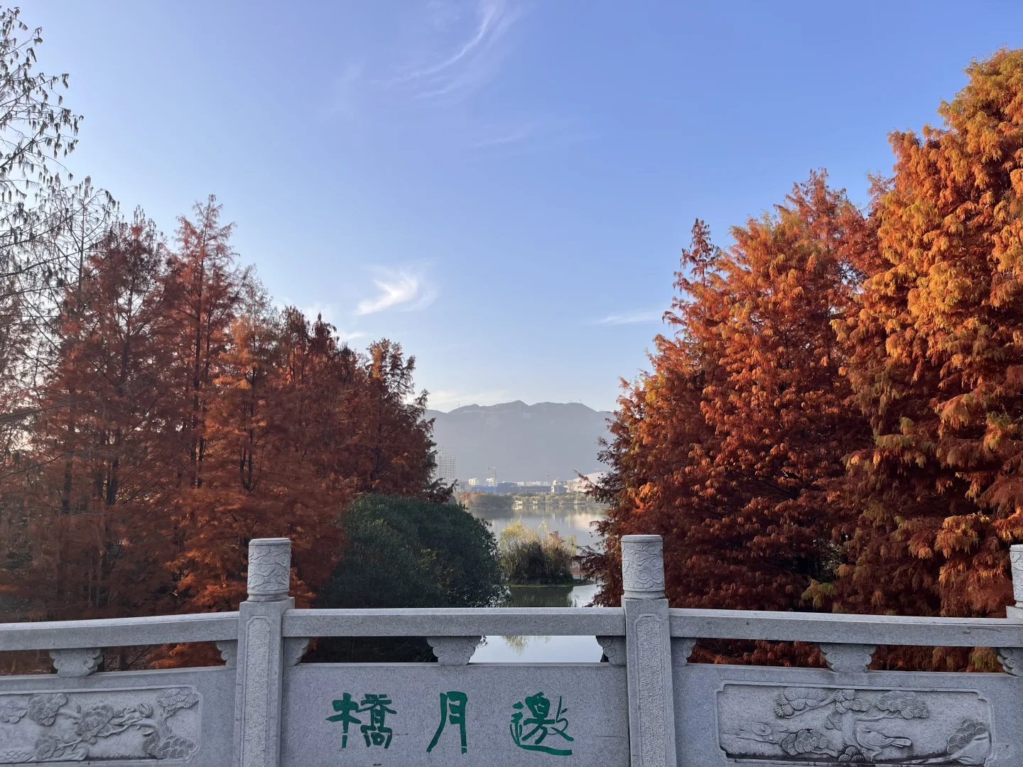 灵湖，我愿在这度过春夏秋冬🍁