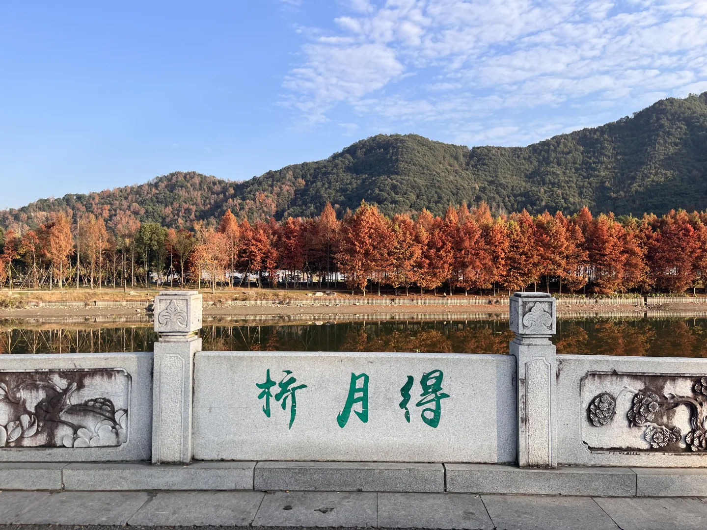 灵湖，我愿在这度过春夏秋冬🍁