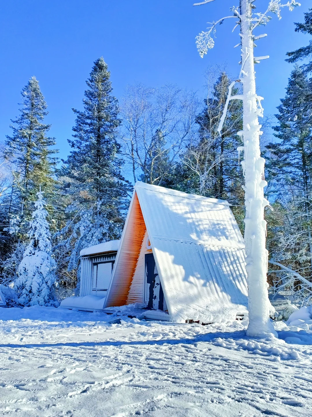 童话木屋|我找到了长白山免费小众景区！