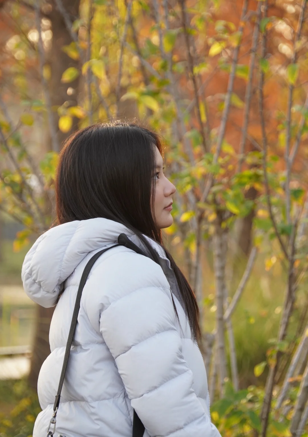 超级好的天气☁️