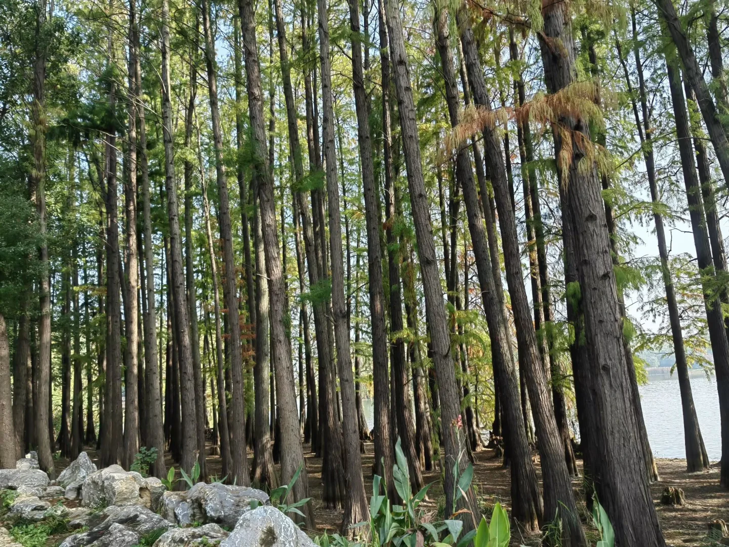 武汉东湖落雁景区旅游攻略