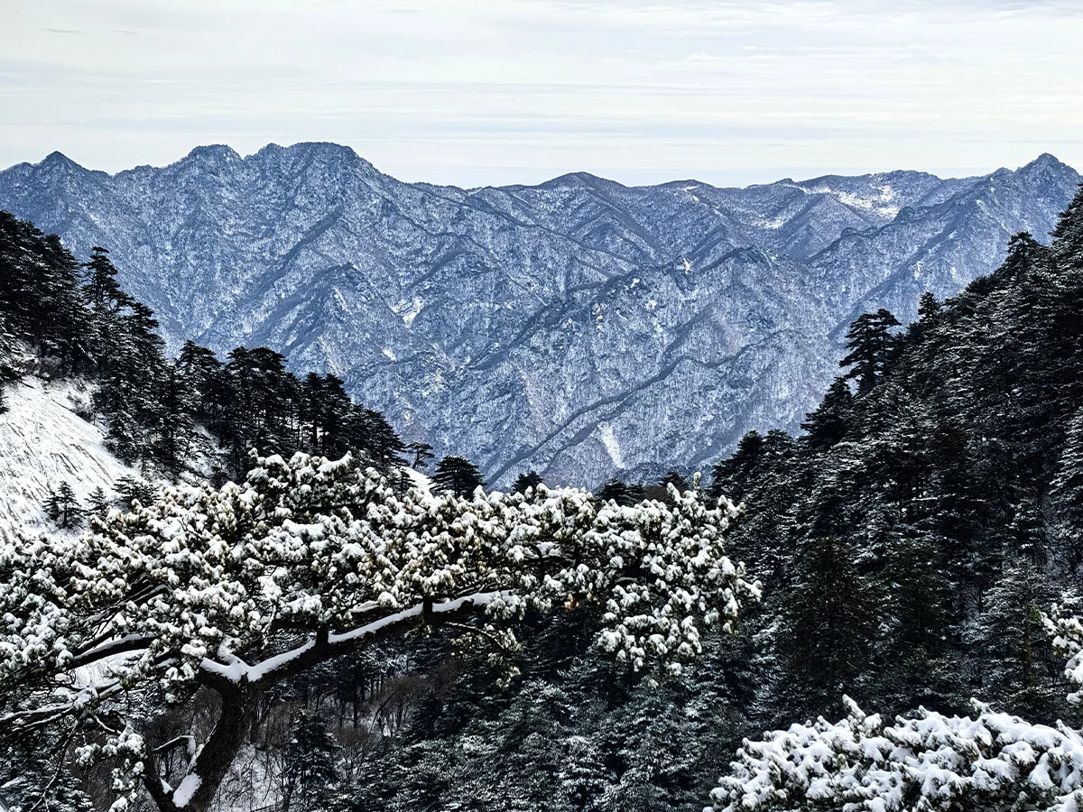 华山雪景限定回归❗️西峰索道重开！