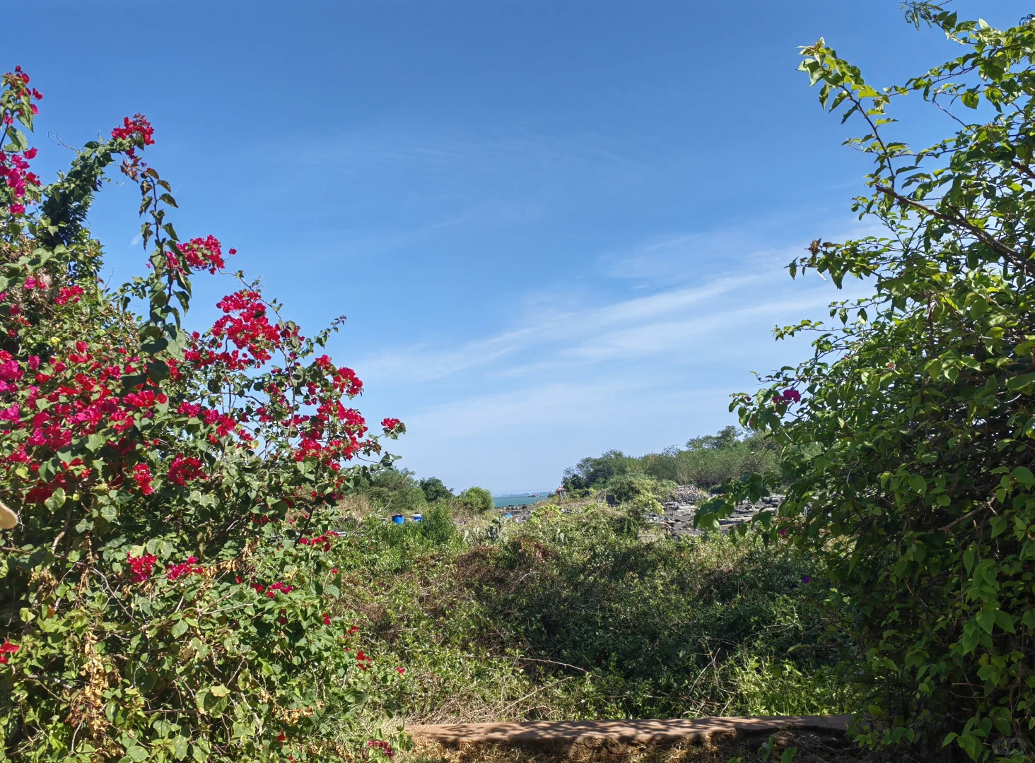 海南环岛跟团游part1