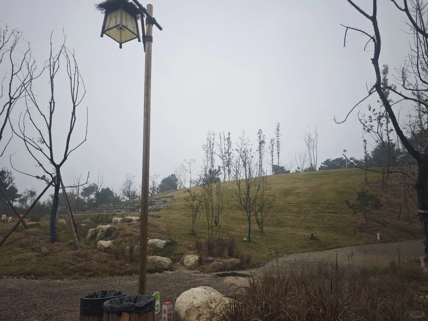 山顶的风景得自己去看看·蒲江长秋山