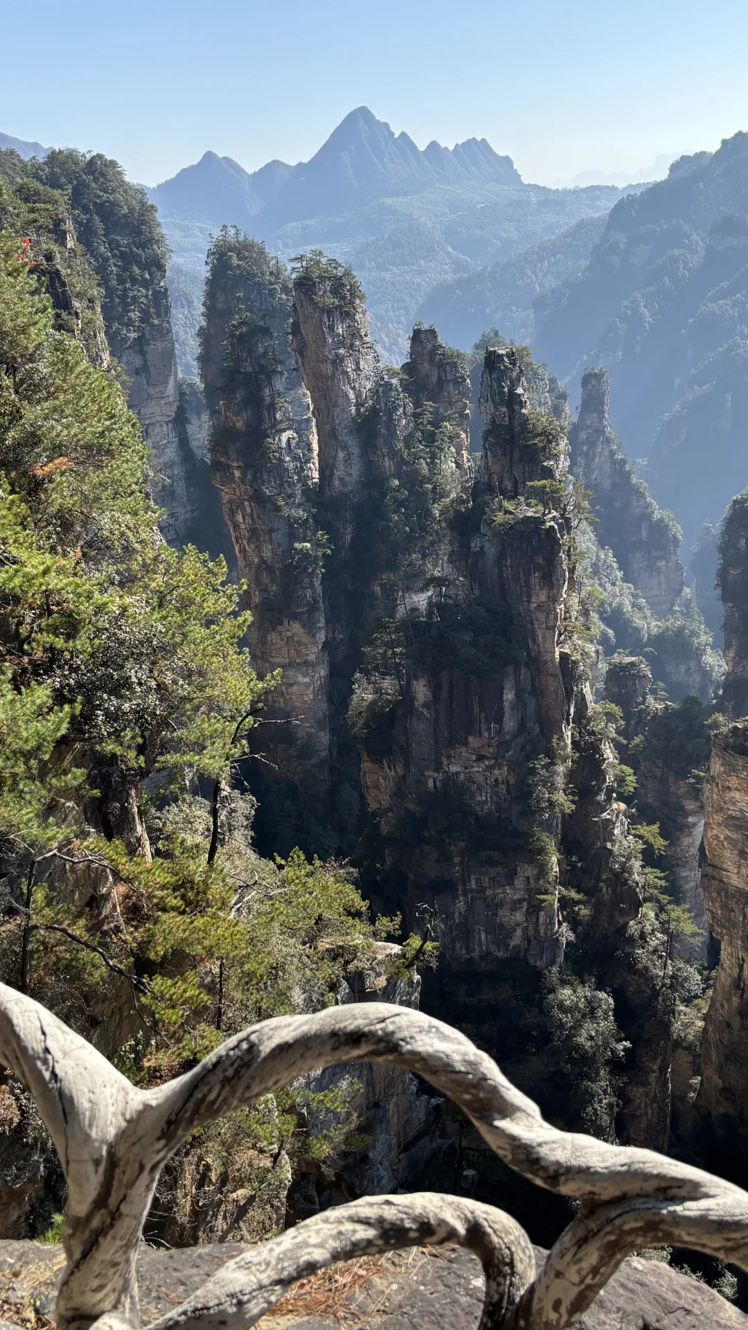 张家界国家森林公园里的小众景点 空中田园